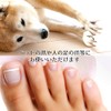 Avect Large Foot Nail Clippers for Thick Nails Large Nail
