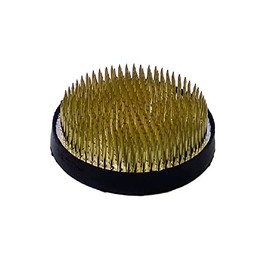 Yuuka Kenyama Daimaru with Rubber Ring