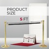 4 PCS Stanchion Set for Party - Black Rope Stanchions