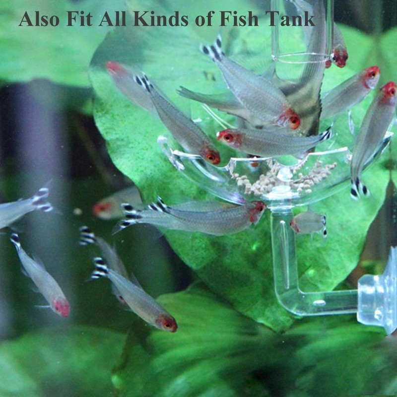 JZMYXA Shrimp Feeding Dish Shrimp Feed Dish, High Transparent Acrylic