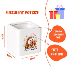 BJDAMAI Hedgehog Succulent Planter Flower Plant Pot Small, Hedgehog Gifts for Women Teens Girls Kids, Hedgehog Lovers Themed Stuff Accessories Things Decor Merch, Home Office Table Desk Decoration!
