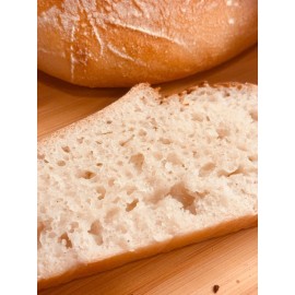 Great Grandmas San Fran Sourdough Starter Organic Gluten Free Sourdough Starter | 240+ Yr Old San Francisco Lineage