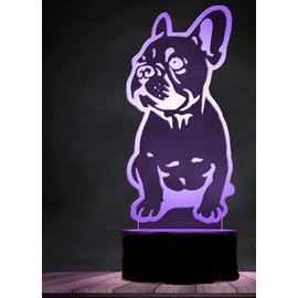 Jinson well 3D French Bulldog Dog Lamp Optical Illusion Night Light, 7 Colour Changing Touch Switch Table Desk Decoration Lamps Perfect with Acrylic USB Toy