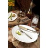 Fortessa Fortaluxe SuperWhite Vitrified China Dinnerware, Cassia 8-Inch Salad/Dessert Plate,