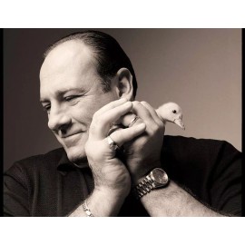James Gandolfini the SOPRANOS mafia boss Tony Soprano Baby Duck Photograph Photo