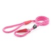 Ancol Nylon Rope Slip Lead Raspberry 1.5mx12mm