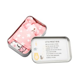 Tabanzhe Little Pocket Bear Hug in a Tin Box-Mini TeddyBear Hug in a Box Worry Stuffed Bear Dolls Positive Thinking of You Get Well Soon Christmas Birthday Gifts for Children Women(Pink)