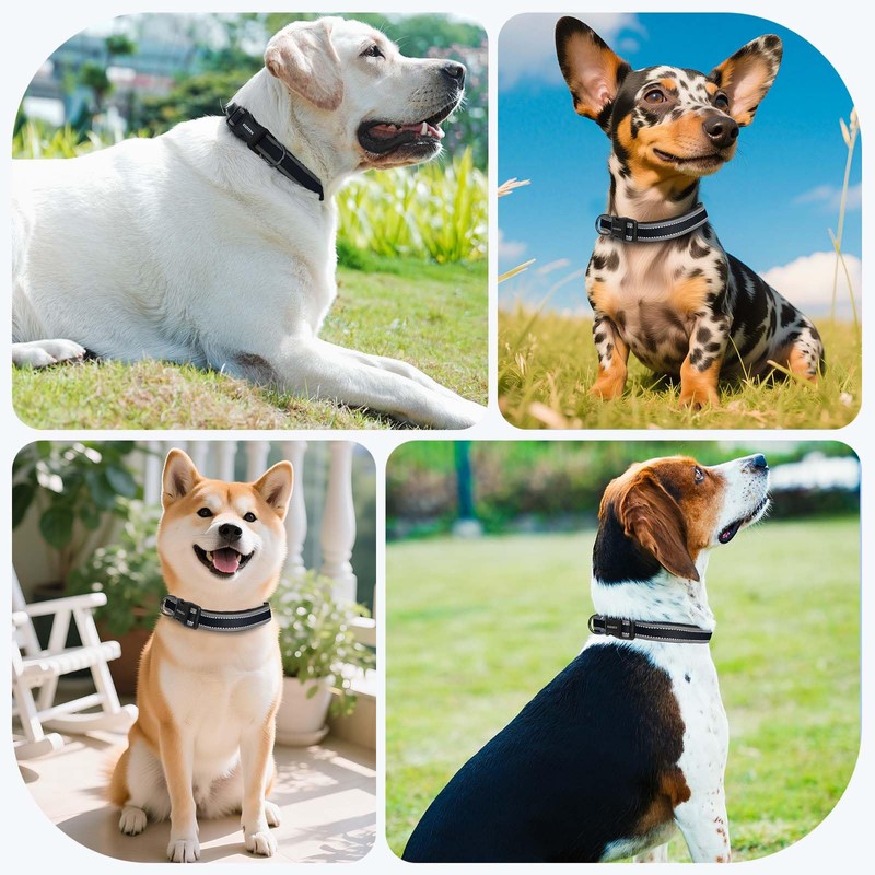 Kazazoo Reflective Dog Collar with Soft Padding Dog Collar for
