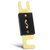 heschen (Hudson Electric) Car ANL Fuse 50 A Automotive Bike