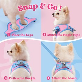 rabbitgoo Dog Harness Small Sized and Leash Set, Step-in Breathable Pet Harness, Soft Walking Reflective Puppy Vest for Small Dogs, Pink & Light Blue, XS