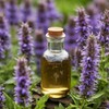 Hyssop+Respiratory Heath+Anti-parasitic+Digestive Health Organic Remedy - Size: 1 Fl oz