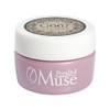 PremDoll Muse PDU-G667 Color Gel Minestone, 0.1 oz (3 g)