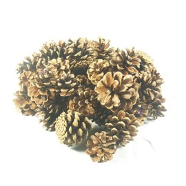 500g 3-7cm Pine Cones Austriaca (3560)