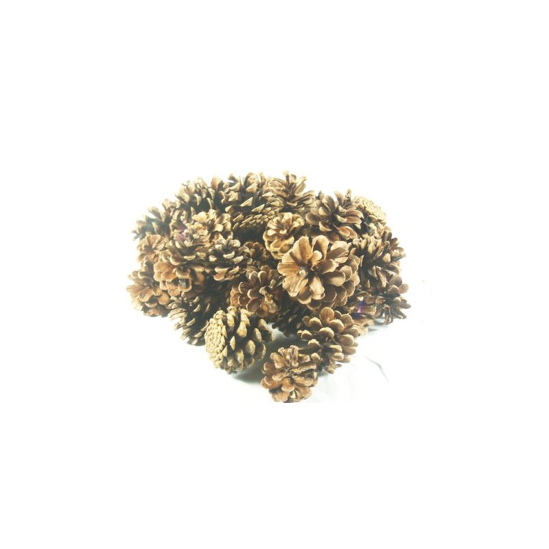 500g 3-7cm Pine Cones Austriaca (3560)