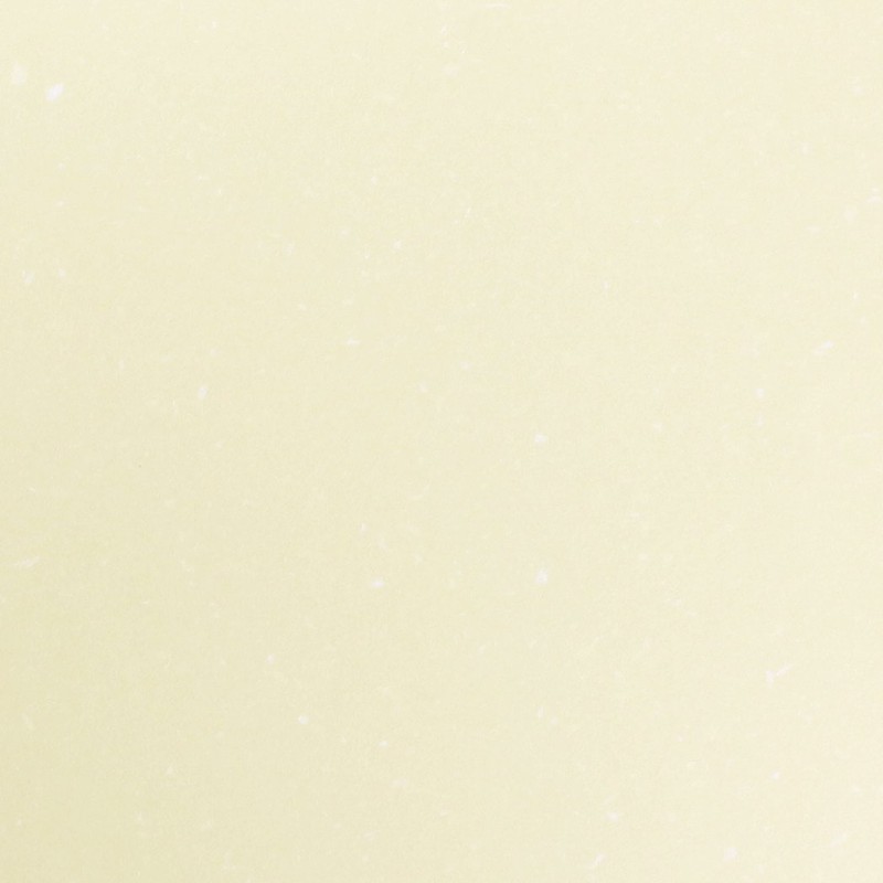 PCM Takeo 1741943 A4 Feather Waltz Elephant Printer Paper for