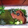 Flushbay Extra Large Reptile Bathing Pool Reptile Feeding Dish Water