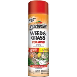 Spectracide Weed & Grass Foaming Edger 17 oz - 1 Count