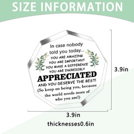 Sugchairo Thank You Gifts Appreciation Gifts for Employee Teacher Nurse Inspirational Gift for Women Friends Farewell Gift for Coworkers Desk Decor Acrylic Plaque