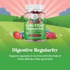 Natures Craft Gomitas Fibra Alto Contenido Prebiótico Niños Suplementos Dietética