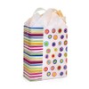 NWP Rainbow Spots Frosted Plastic Gift Bags - 3 Mil