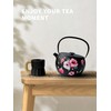 Toptier Teapot with Removable Infuser, Cast Iron Tea Kettle Stovetop