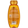 Garnier Whole Blends Shampoo with Moroccan Argan & Camellia Oils