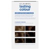 Clairol Lasting Colour Permanent Hair Dye | Perfect Grey Coverage