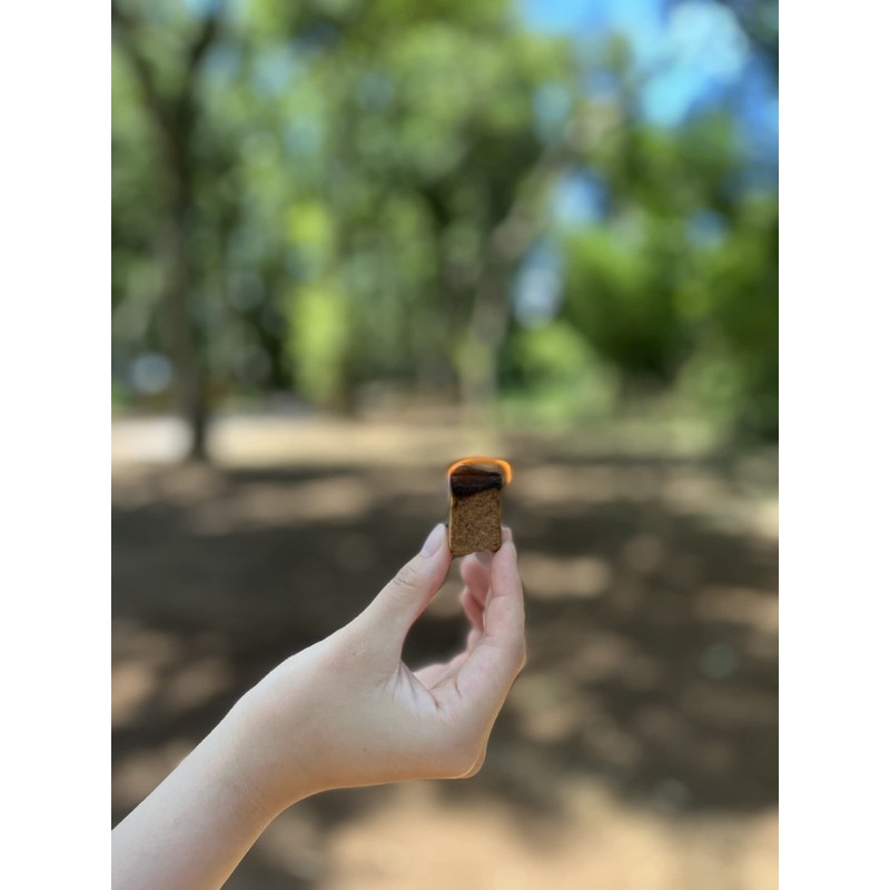 WB032 Organic Fire Starter, Pack of 32, Camping, Barbecues, Outdoors,