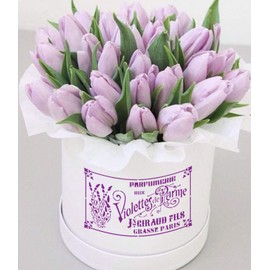 CrafTreat Stencils for Painting on Wood, Canvas, Paper, Fabric, Floor Wall and Tiles French Labels 30.5 x 30.5 cm DIY Arts and Crafts Stencils for Home Decor French Stencil