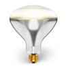 250R40/1 250-Watt, Incandescent R40 Reflector, Clear Head Lamp, Heat Flood