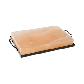 SHOWERORO Salt Block Holder Professional Grill Rack Barbecue Tool for Camping BBQ Party