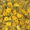 Oh Herb Domestic chrysanthemum tea chrysanthemum petal tea 500g /