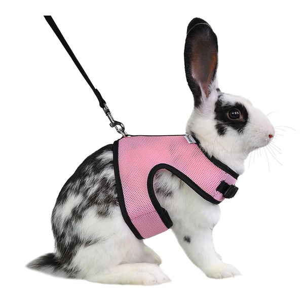 Niteangel Adjustable Soft Harness with Elastic Leash for Rabbits (L,