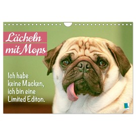 Smile with Pug (Wall Calendar 2025 DIN A4 Landscape), CALVENDO Monthly Calendar
