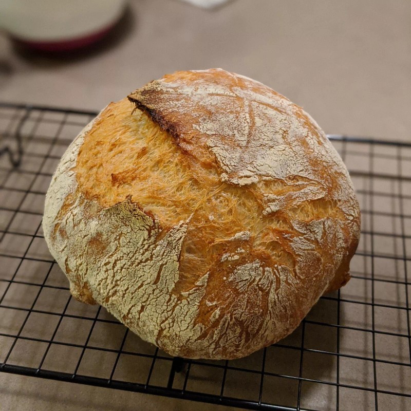 Heritage Sour SOURDOUGH STARTER DEHYDRATED STRONG 125+ YRS SAN FRANCISCO