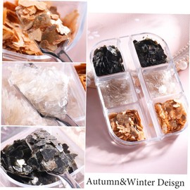 Healvian Chic Mica Slice Ornament for Nail Art Lightweight Nail Decoration for Beginners Professionals Fashionable Manicure Decor Application