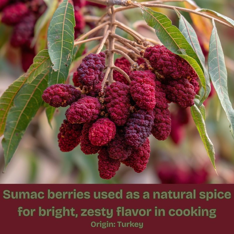 SavorSatch Ground Sumac – 4oz Resealable Pouch | Certified Kosher,