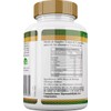Moringa Pura Premium 500mg | 100 Cápsulas de Suplemento Natural
