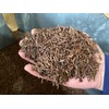 BLUE TEA BAGS Ishikawa Prefecture Roasted Roasted Tea Bar Tea