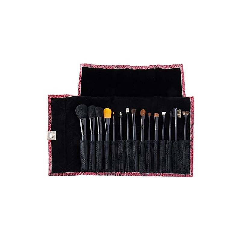 Crown Brush 15 piezas Pro con estuche de diseño, color