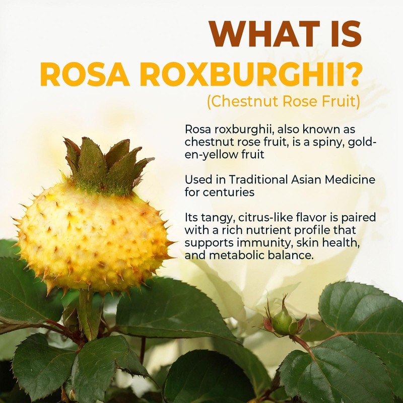 Organic Rosa Roxburghii | Natural Vitamin C Superfood |Chestnut Rose