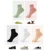FGZ Womens Socks Thin Ankle Socks Soft Cotton Lightweight Breathable