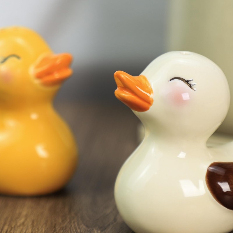 Bicuzat Ceramic Duck Shape Salt & Pepper Shakers Set, Hand-Painted