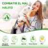 Polvo Limpiador De Dientes Dog Powder Para Perros En Polvo