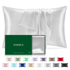Mulberry Silk Pillowcase for Hair and Skin, SGMSILK 22 Momme Natural Silk Pillow Cases with Zipper, 6A Soft and Smooth Single Sided Pure Silk Pillow Cover (Light Gray, Queen 20"x30")