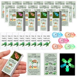 Wonderjune 72 Sets Housekeeping Week Gifts Bulk 2025 Emotional Support Turtle Bulk Desk Pets Employee Appreciation Gifts for Teacher Coworker Positive Mini Resin Turtle for EVS Week Housekeeper