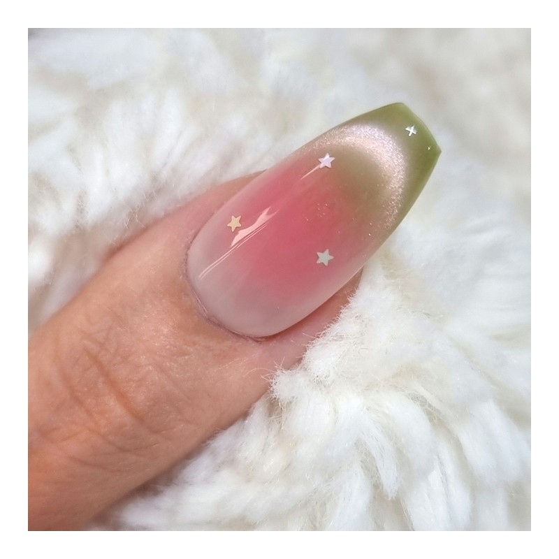 Shy Guava Handmade Nail Tip Magnetic Gradient - Short Oval