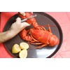 King Kooker 14500 Seafood Claw Crackers-2 Pack, OS, Multi