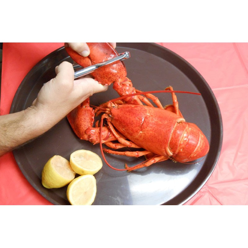 King Kooker 14500 Seafood Claw Crackers-2 Pack, OS, Multi