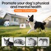 Abdtech Automatic Ball Launcher for Dogs - Dog Ball Thrower